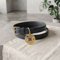 Premium Full-Grain Leather Dog Collar & Leash Set – AfriPaws